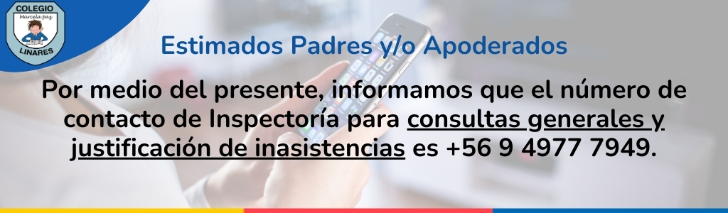 Inicio Copia de SLIDER WEB 1024X300