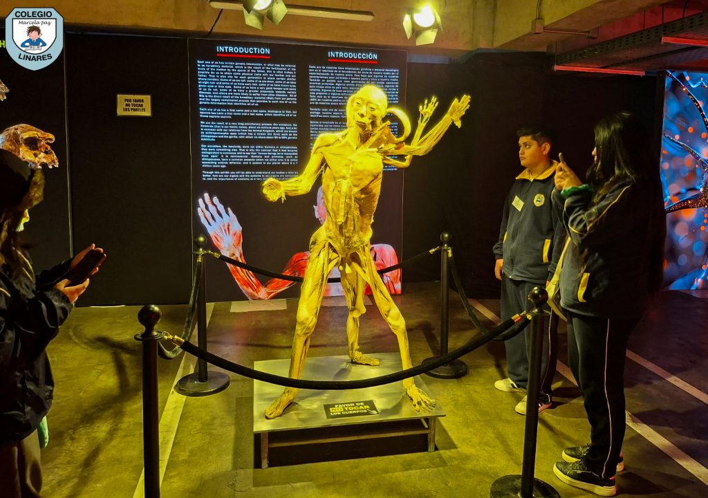 ๐๐ฎ๐๐ฌ๐ญ๐ซ๐จ๐ฌ ๐๐ฌ๐ญ๐ฎ๐๐ข๐๐ง๐ญ๐๐ฌ ๐๐ ๐ยฐ ๐ฒ ๐ยฐ ๐๐งฬ๐จ ๐ญ๐ฎ๐ฏ๐ข๐๐ซ๐จ๐ง ๐ฎ๐ง๐ ๐๐ฑ๐ฉ๐๐ซ๐ข๐๐ง๐๐ข๐ ๐ฎฬ๐ง๐ข๐๐ img 20251029 wa0043