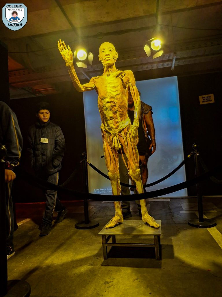 ๐๐ฎ๐๐ฌ๐ญ๐ซ๐จ๐ฌ ๐๐ฌ๐ญ๐ฎ๐๐ข๐๐ง๐ญ๐๐ฌ ๐๐ ๐ยฐ ๐ฒ ๐ยฐ ๐๐งฬ๐จ ๐ญ๐ฎ๐ฏ๐ข๐๐ซ๐จ๐ง ๐ฎ๐ง๐ ๐๐ฑ๐ฉ๐๐ซ๐ข๐๐ง๐๐ข๐ ๐ฎฬ๐ง๐ข๐๐ img 20251029 wa0045