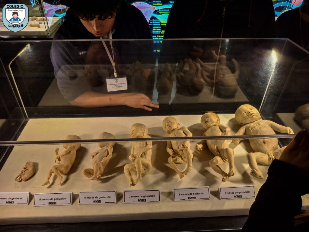 ๐๐ฎ๐๐ฌ๐ญ๐ซ๐จ๐ฌ ๐๐ฌ๐ญ๐ฎ๐๐ข๐๐ง๐ญ๐๐ฌ ๐๐ ๐ยฐ ๐ฒ ๐ยฐ ๐๐งฬ๐จ ๐ญ๐ฎ๐ฏ๐ข๐๐ซ๐จ๐ง ๐ฎ๐ง๐ ๐๐ฑ๐ฉ๐๐ซ๐ข๐๐ง๐๐ข๐ ๐ฎฬ๐ง๐ข๐๐ img 20251029 wa0046