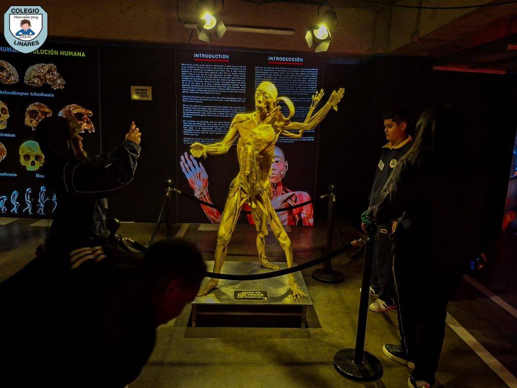 ๐๐ฎ๐๐ฌ๐ญ๐ซ๐จ๐ฌ ๐๐ฌ๐ญ๐ฎ๐๐ข๐๐ง๐ญ๐๐ฌ ๐๐ ๐ยฐ ๐ฒ ๐ยฐ ๐๐งฬ๐จ ๐ญ๐ฎ๐ฏ๐ข๐๐ซ๐จ๐ง ๐ฎ๐ง๐ ๐๐ฑ๐ฉ๐๐ซ๐ข๐๐ง๐๐ข๐ ๐ฎฬ๐ง๐ข๐๐ img 20251029 wa0047