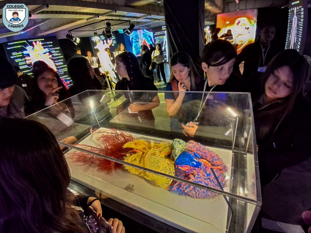 ๐๐ฎ๐๐ฌ๐ญ๐ซ๐จ๐ฌ ๐๐ฌ๐ญ๐ฎ๐๐ข๐๐ง๐ญ๐๐ฌ ๐๐ ๐ยฐ ๐ฒ ๐ยฐ ๐๐งฬ๐จ ๐ญ๐ฎ๐ฏ๐ข๐๐ซ๐จ๐ง ๐ฎ๐ง๐ ๐๐ฑ๐ฉ๐๐ซ๐ข๐๐ง๐๐ข๐ ๐ฎฬ๐ง๐ข๐๐ img 20251029 wa0049