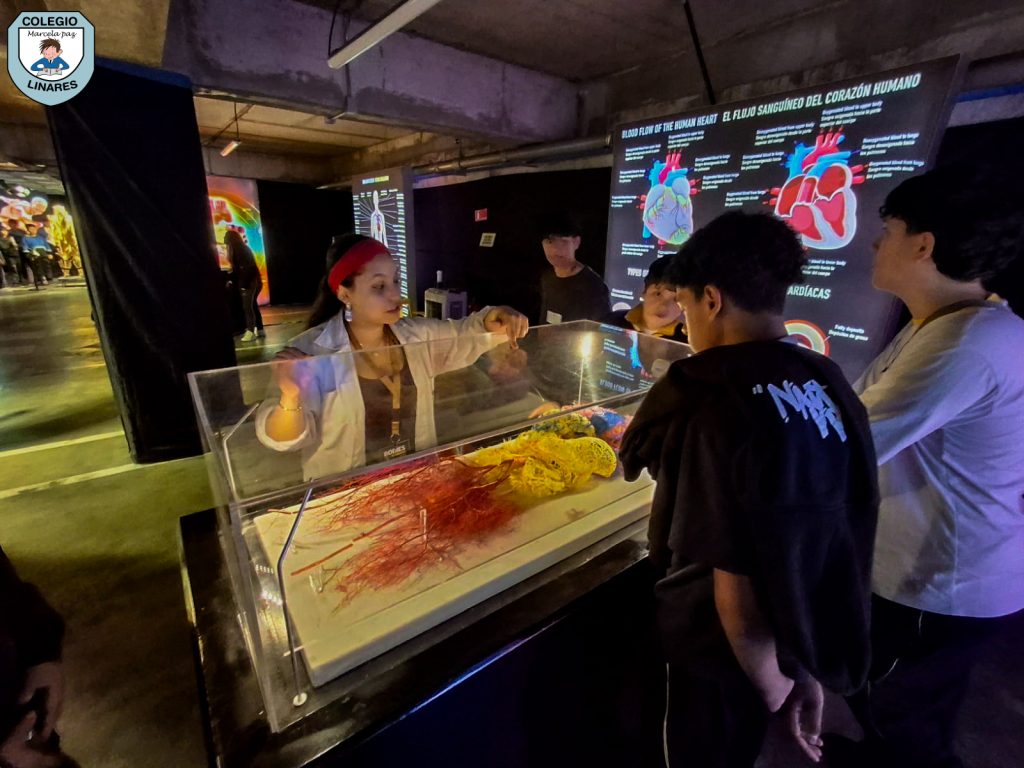 ๐๐ฎ๐๐ฌ๐ญ๐ซ๐จ๐ฌ ๐๐ฌ๐ญ๐ฎ๐๐ข๐๐ง๐ญ๐๐ฌ ๐๐ ๐ยฐ ๐ฒ ๐ยฐ ๐๐งฬ๐จ ๐ญ๐ฎ๐ฏ๐ข๐๐ซ๐จ๐ง ๐ฎ๐ง๐ ๐๐ฑ๐ฉ๐๐ซ๐ข๐๐ง๐๐ข๐ ๐ฎฬ๐ง๐ข๐๐ img 20251029 wa0054