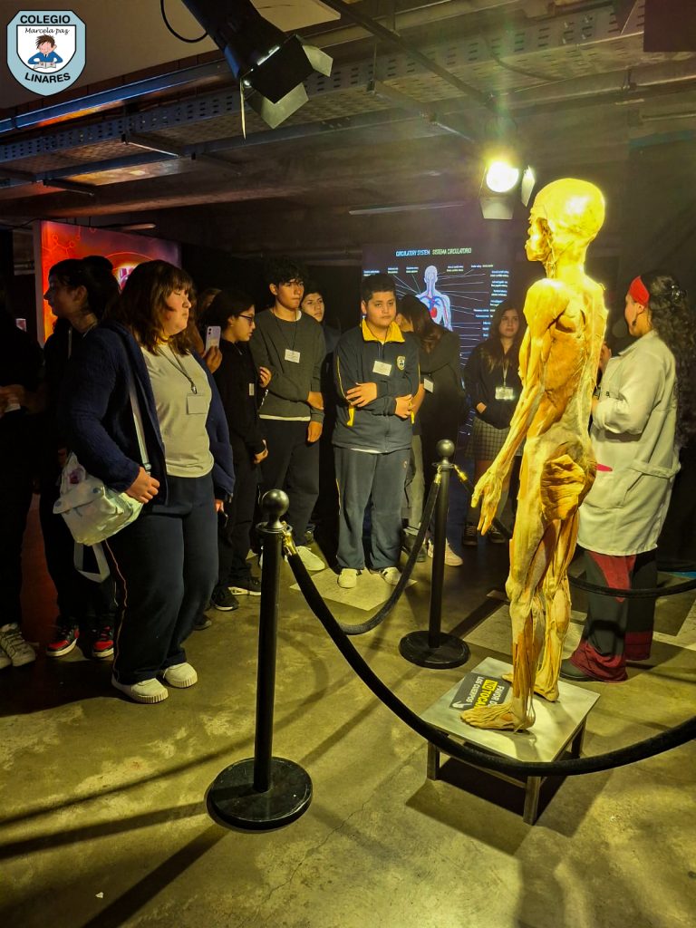 ๐๐ฎ๐๐ฌ๐ญ๐ซ๐จ๐ฌ ๐๐ฌ๐ญ๐ฎ๐๐ข๐๐ง๐ญ๐๐ฌ ๐๐ ๐ยฐ ๐ฒ ๐ยฐ ๐๐งฬ๐จ ๐ญ๐ฎ๐ฏ๐ข๐๐ซ๐จ๐ง ๐ฎ๐ง๐ ๐๐ฑ๐ฉ๐๐ซ๐ข๐๐ง๐๐ข๐ ๐ฎฬ๐ง๐ข๐๐ img 20251029 wa0056