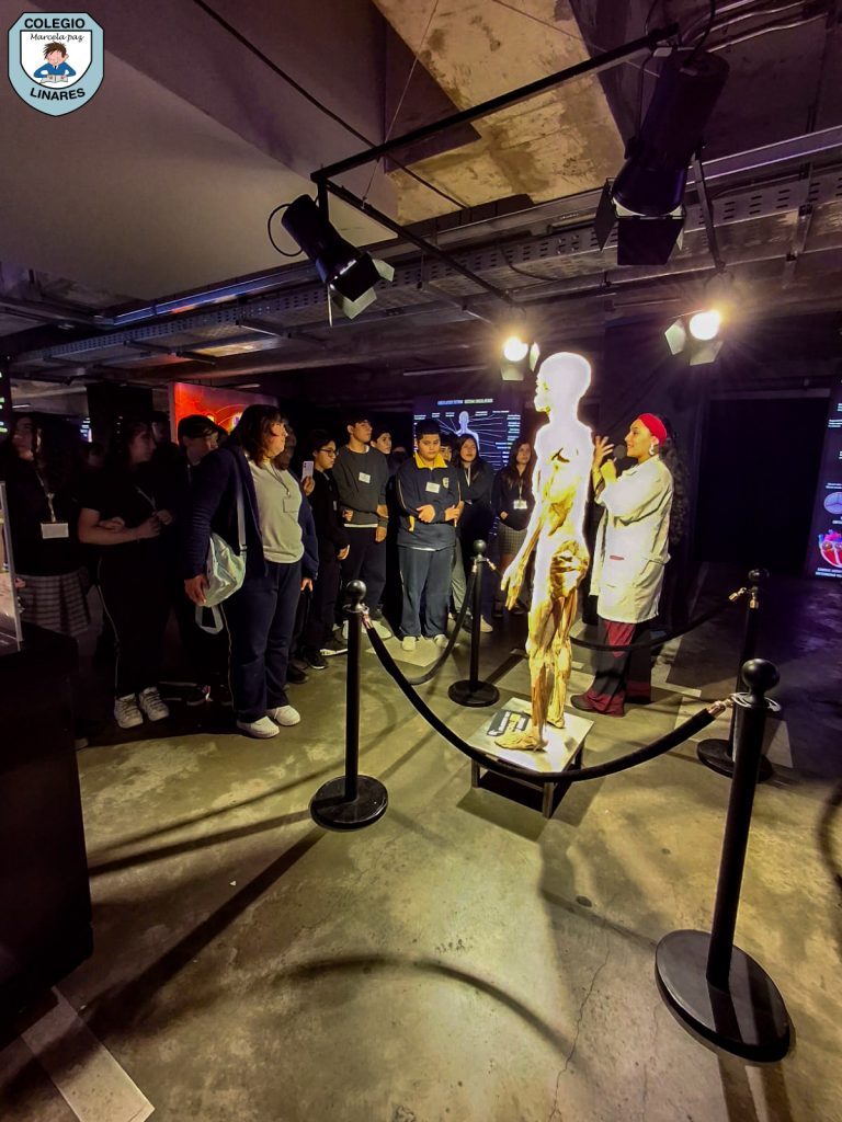 ๐๐ฎ๐๐ฌ๐ญ๐ซ๐จ๐ฌ ๐๐ฌ๐ญ๐ฎ๐๐ข๐๐ง๐ญ๐๐ฌ ๐๐ ๐ยฐ ๐ฒ ๐ยฐ ๐๐งฬ๐จ ๐ญ๐ฎ๐ฏ๐ข๐๐ซ๐จ๐ง ๐ฎ๐ง๐ ๐๐ฑ๐ฉ๐๐ซ๐ข๐๐ง๐๐ข๐ ๐ฎฬ๐ง๐ข๐๐ img 20251029 wa0057