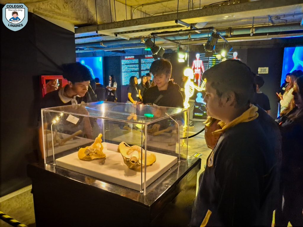 ๐๐ฎ๐๐ฌ๐ญ๐ซ๐จ๐ฌ ๐๐ฌ๐ญ๐ฎ๐๐ข๐๐ง๐ญ๐๐ฌ ๐๐ ๐ยฐ ๐ฒ ๐ยฐ ๐๐งฬ๐จ ๐ญ๐ฎ๐ฏ๐ข๐๐ซ๐จ๐ง ๐ฎ๐ง๐ ๐๐ฑ๐ฉ๐๐ซ๐ข๐๐ง๐๐ข๐ ๐ฎฬ๐ง๐ข๐๐ img 20251029 wa0059