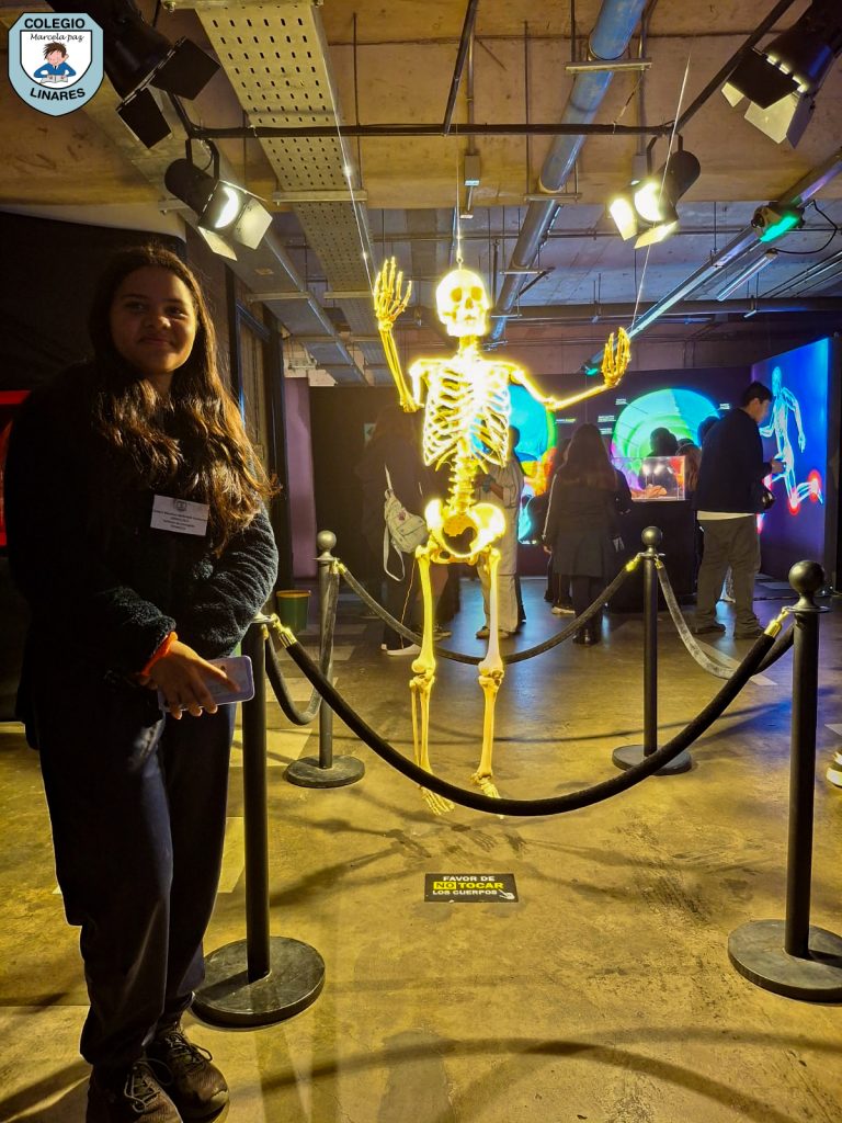 ๐๐ฎ๐๐ฌ๐ญ๐ซ๐จ๐ฌ ๐๐ฌ๐ญ๐ฎ๐๐ข๐๐ง๐ญ๐๐ฌ ๐๐ ๐ยฐ ๐ฒ ๐ยฐ ๐๐งฬ๐จ ๐ญ๐ฎ๐ฏ๐ข๐๐ซ๐จ๐ง ๐ฎ๐ง๐ ๐๐ฑ๐ฉ๐๐ซ๐ข๐๐ง๐๐ข๐ ๐ฎฬ๐ง๐ข๐๐ img 20251029 wa0060