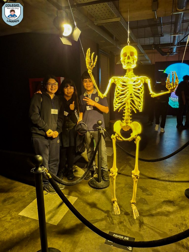 ๐๐ฎ๐๐ฌ๐ญ๐ซ๐จ๐ฌ ๐๐ฌ๐ญ๐ฎ๐๐ข๐๐ง๐ญ๐๐ฌ ๐๐ ๐ยฐ ๐ฒ ๐ยฐ ๐๐งฬ๐จ ๐ญ๐ฎ๐ฏ๐ข๐๐ซ๐จ๐ง ๐ฎ๐ง๐ ๐๐ฑ๐ฉ๐๐ซ๐ข๐๐ง๐๐ข๐ ๐ฎฬ๐ง๐ข๐๐ img 20251029 wa0067